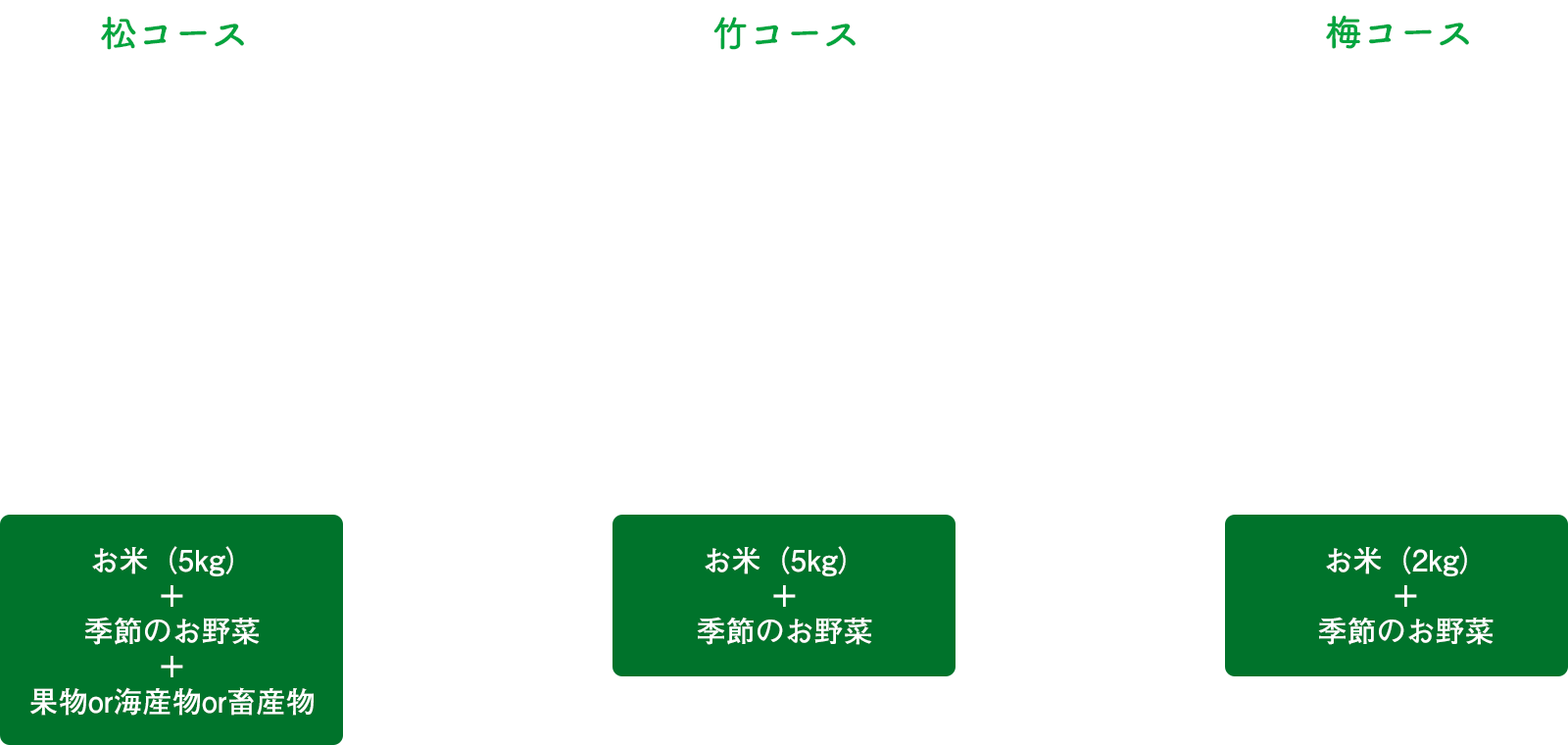 コース一覧