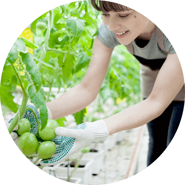 家族に喜んでもらえて