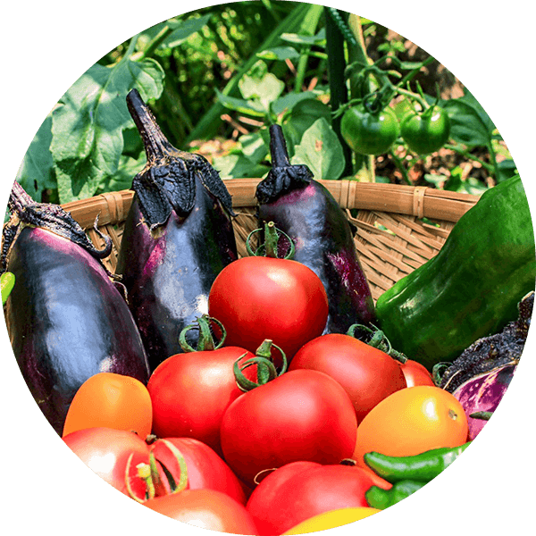 新鮮な野菜やお米を送って